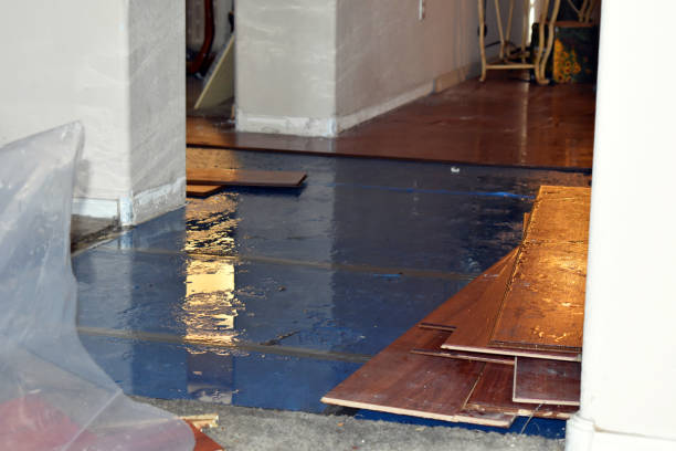 Professional Basement Flood Cleanup technician working in Piketon, OH